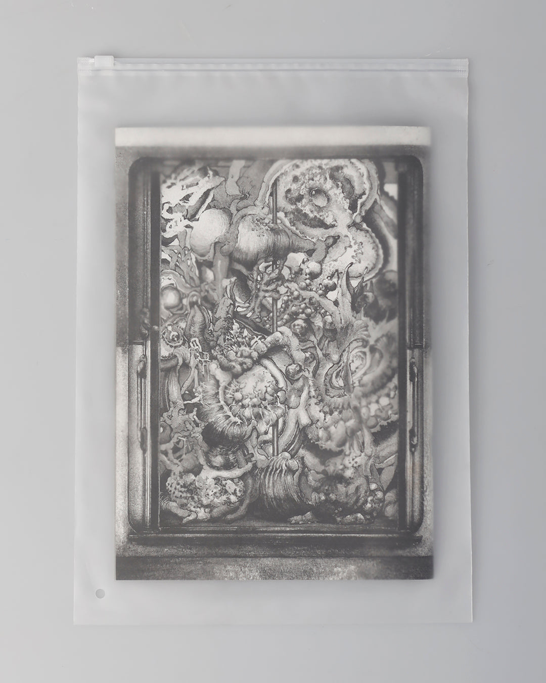 "OTHERWORLDS" Publication / Book by Childhood Intelligence