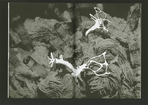 "OTHERWORLDS" Publication / Book by Childhood Intelligence